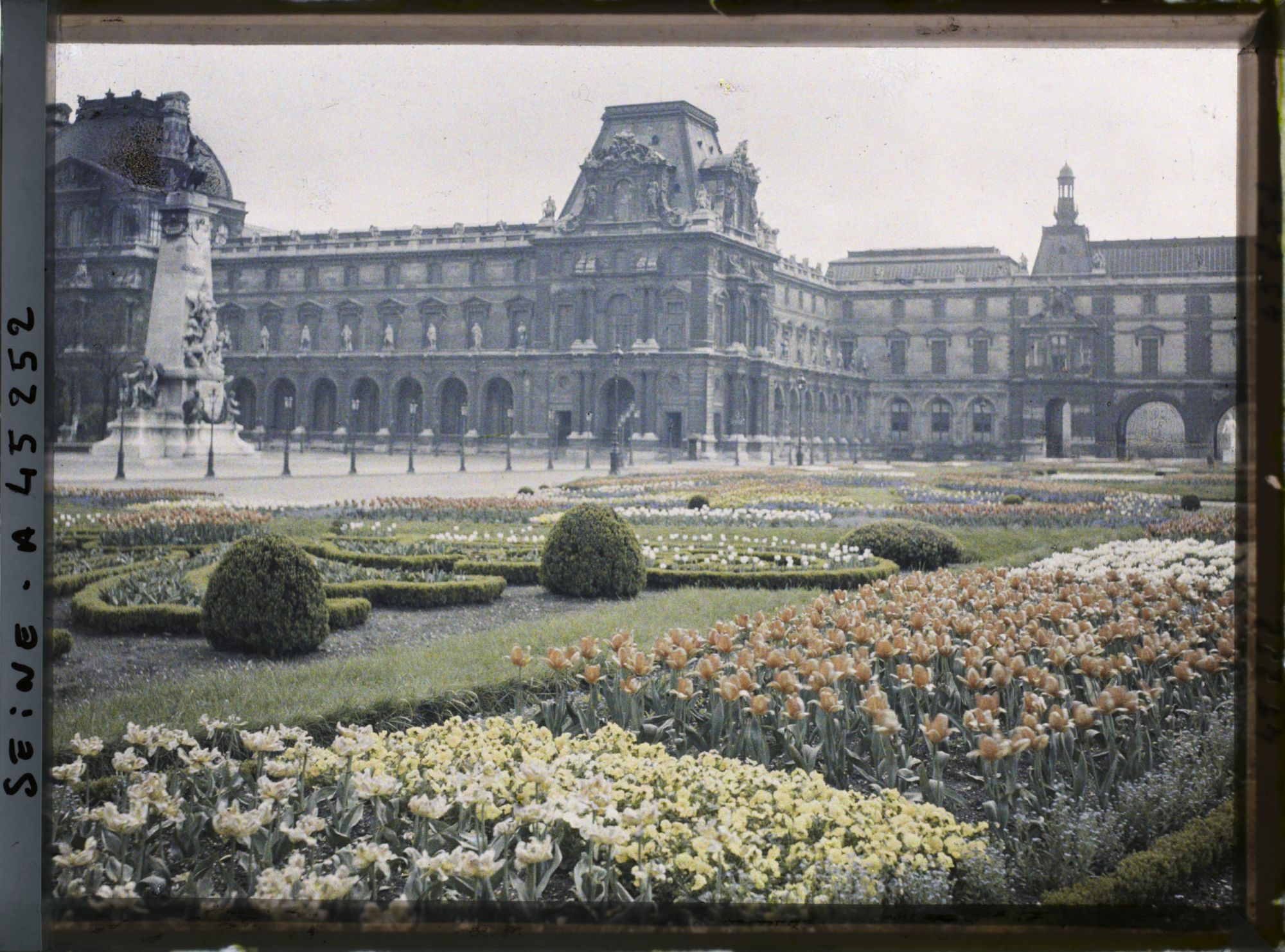 Image représentant Les tulipes au jardin des Tuileries