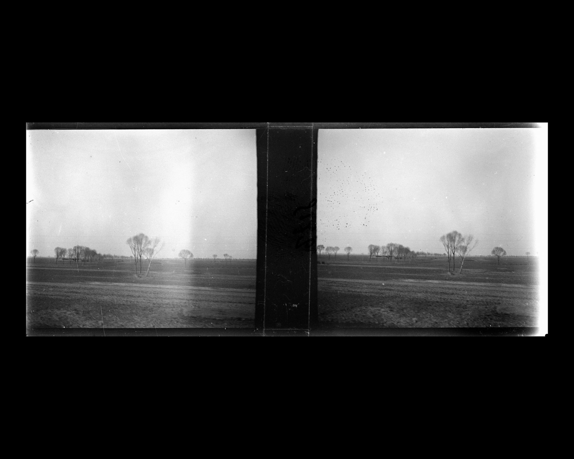 Image représentant Des champs et des groupes d'arbres