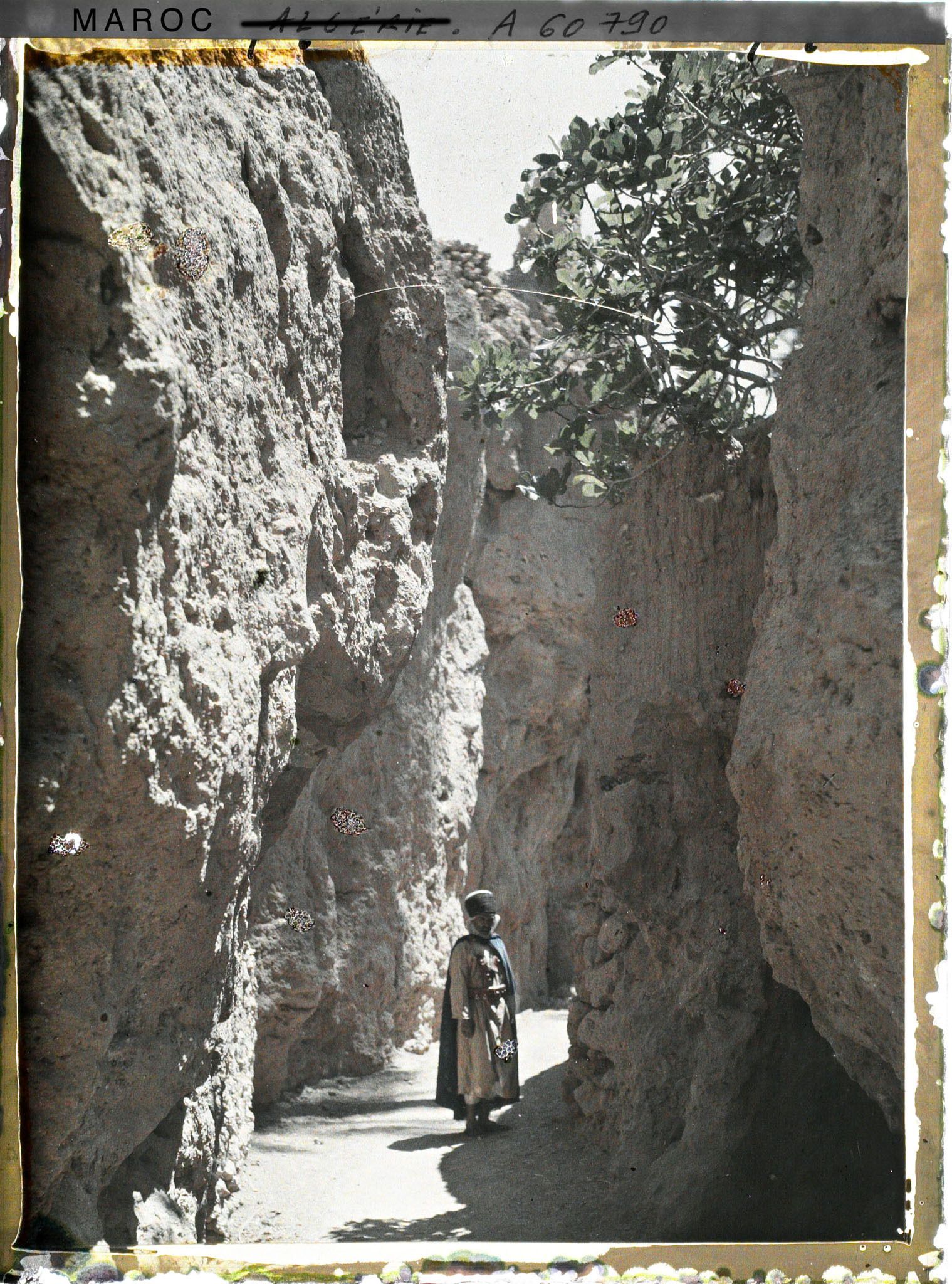 Image représentant Le chemin creux