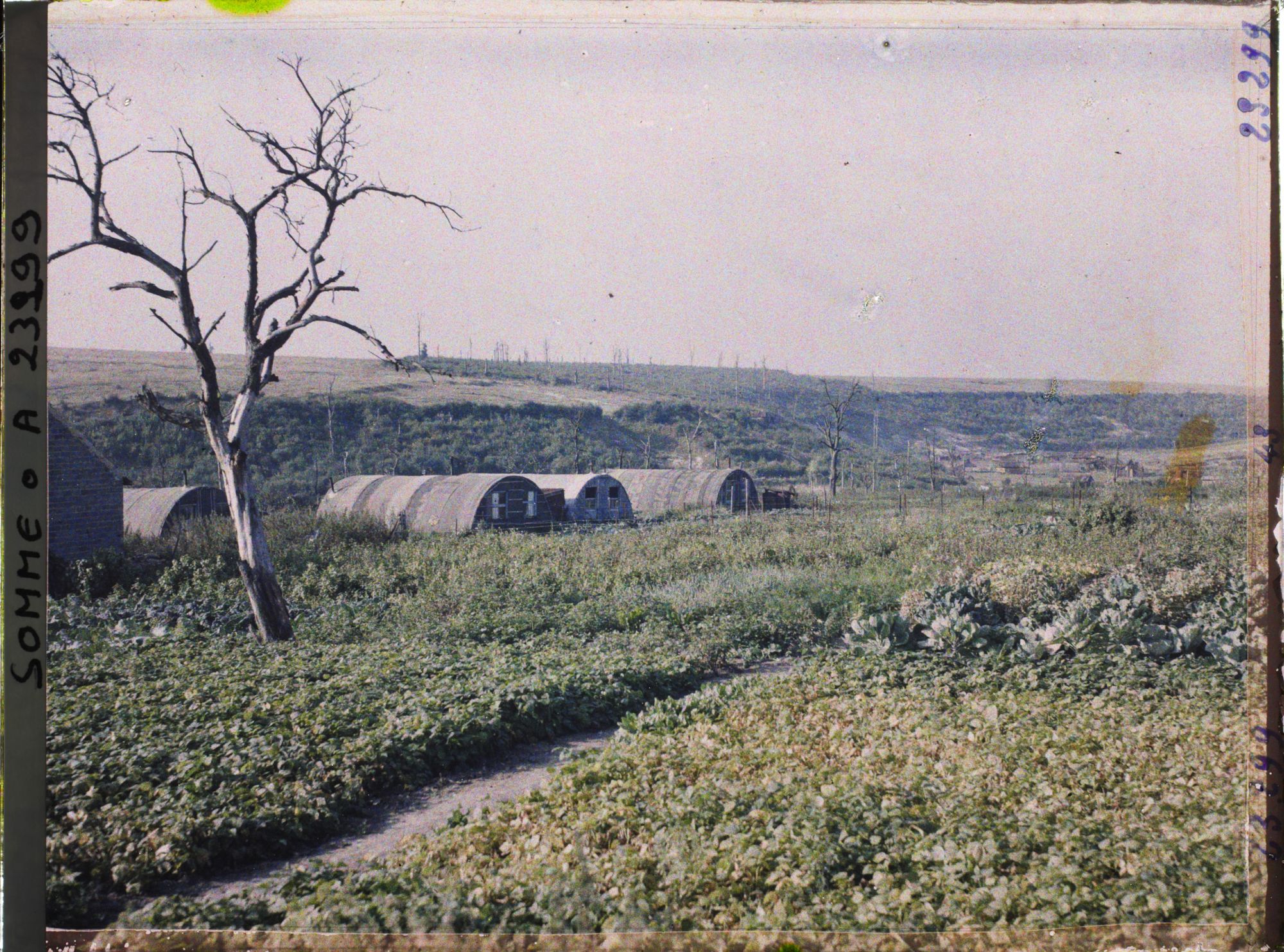 Image représentant France, Combles, Une vue vers le bois Douage
