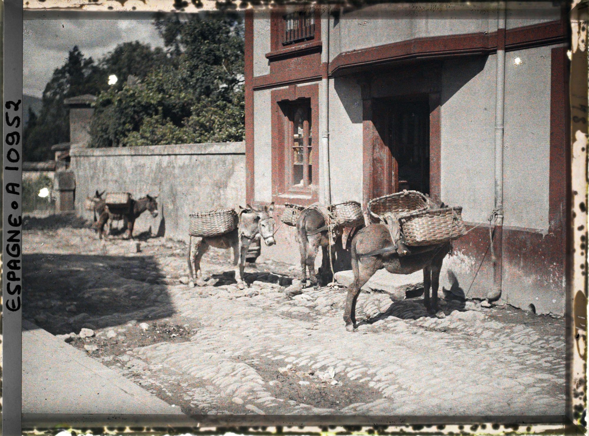 Image représentant Espagne, Bilbao, Les Cinq burros