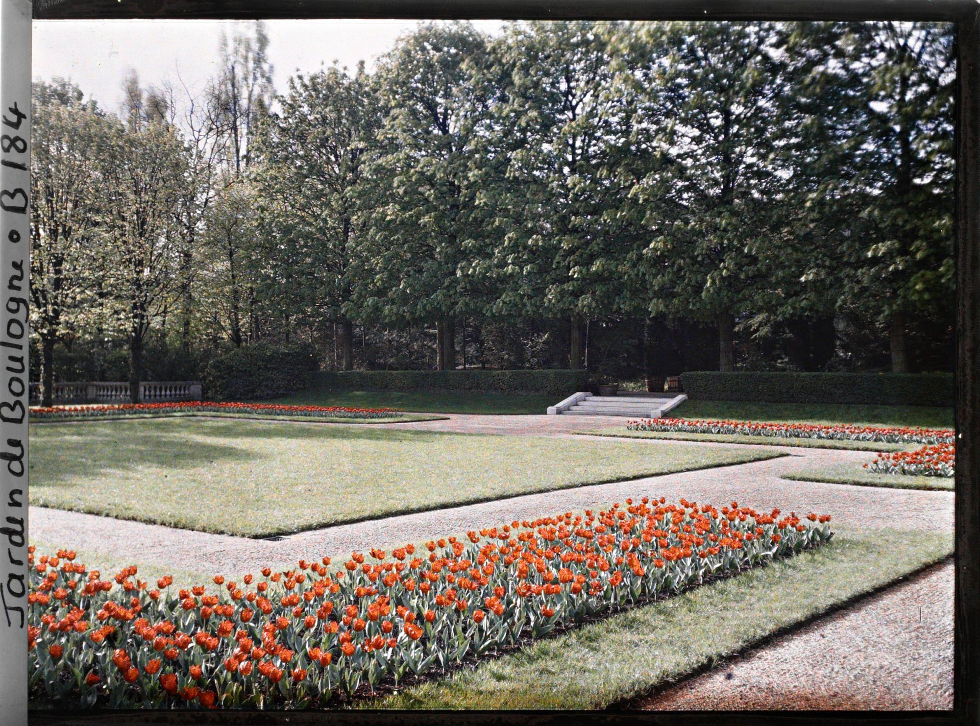 Image représentant Le jardin français vu depuis l'angle du parterre nord-ouest