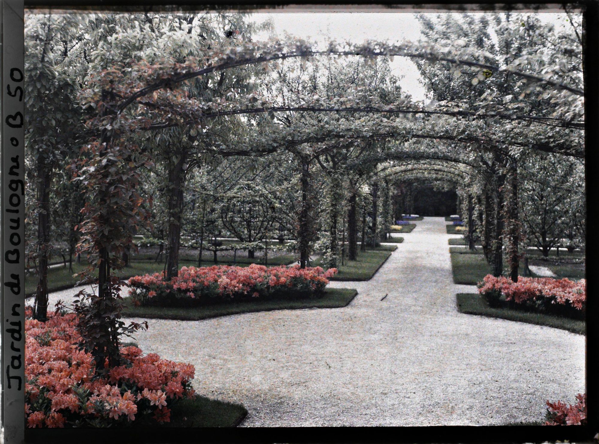 Image représentant Rond-point proche du jardin français, sur l'axe central du verger-roseraie vu vers la dépendance