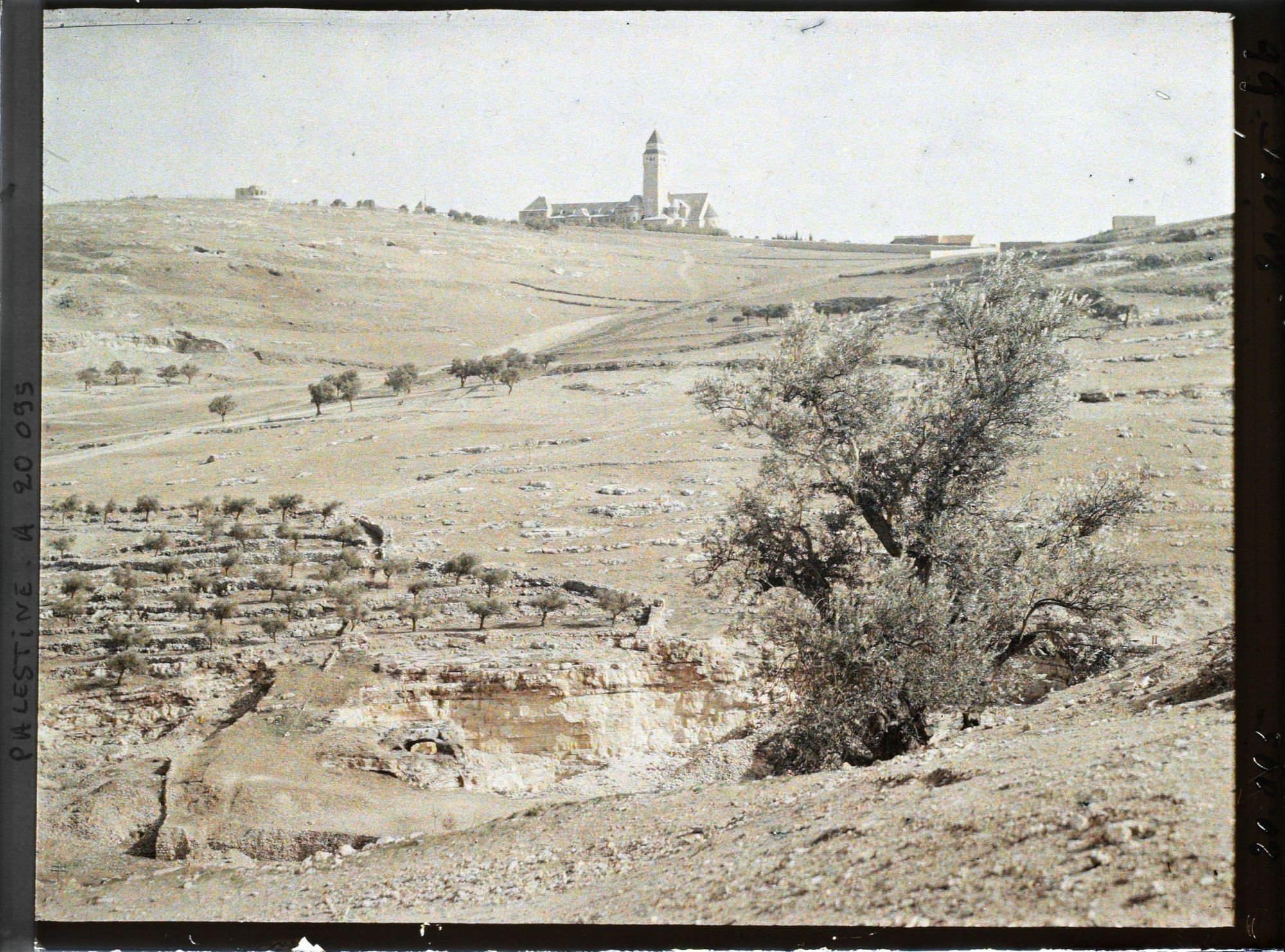 Image représentant L' hôpital Augusta Victoria sur le Mont des Oliviers