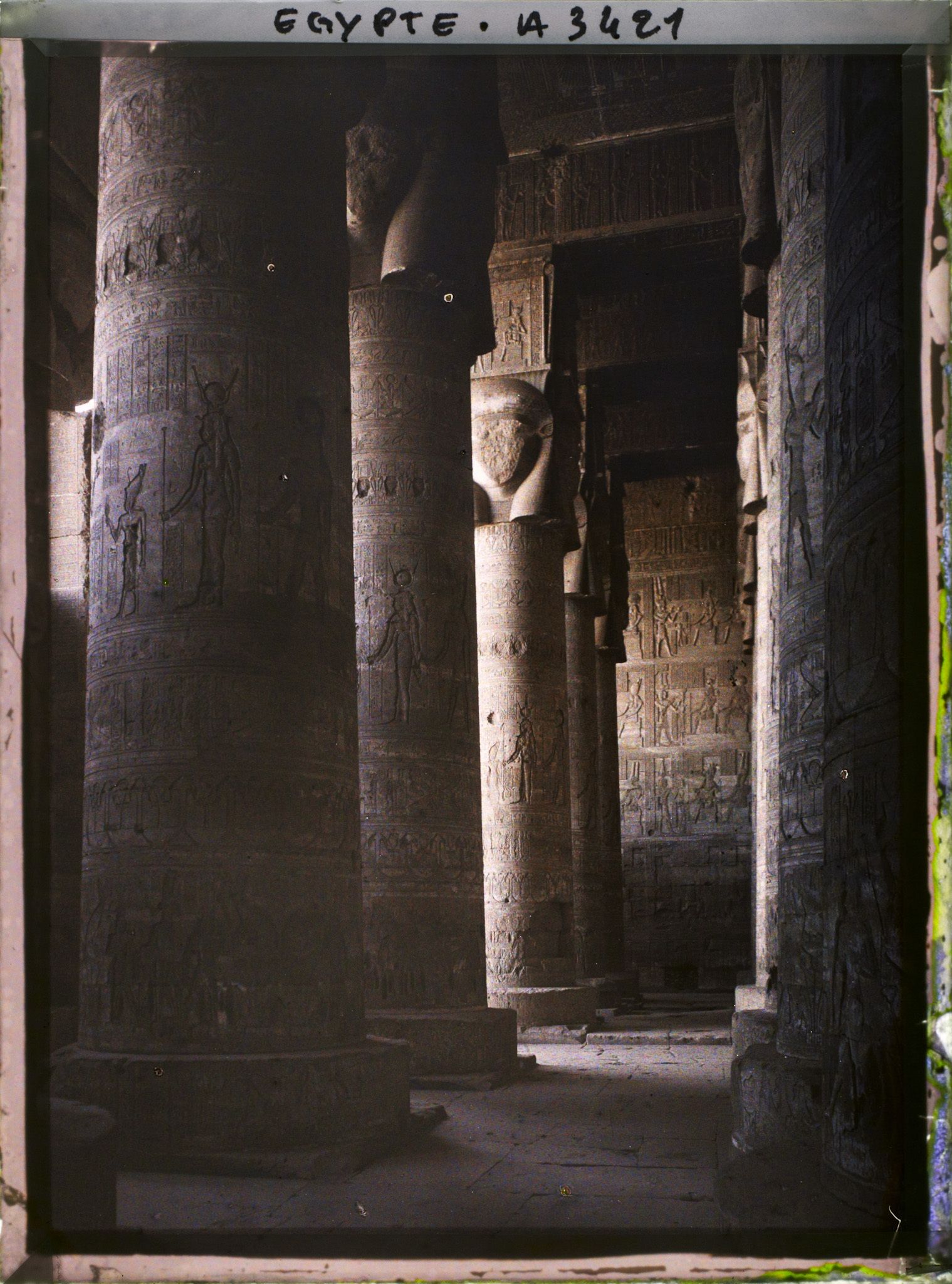 Image représentant Colonnes hathoriques de la salle hypostyle du temple