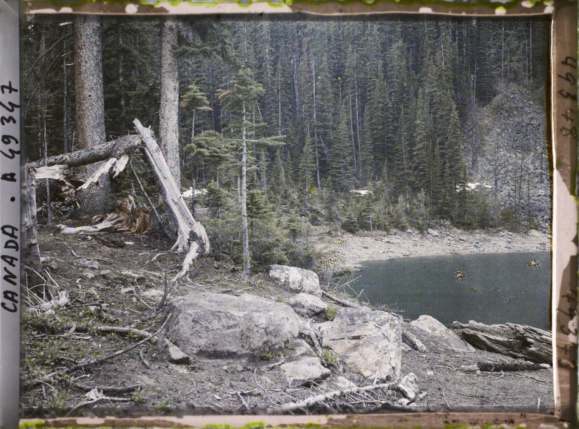 Image représentant Canada, Lac Louise, Une vue s/ le lac à travers les arbres