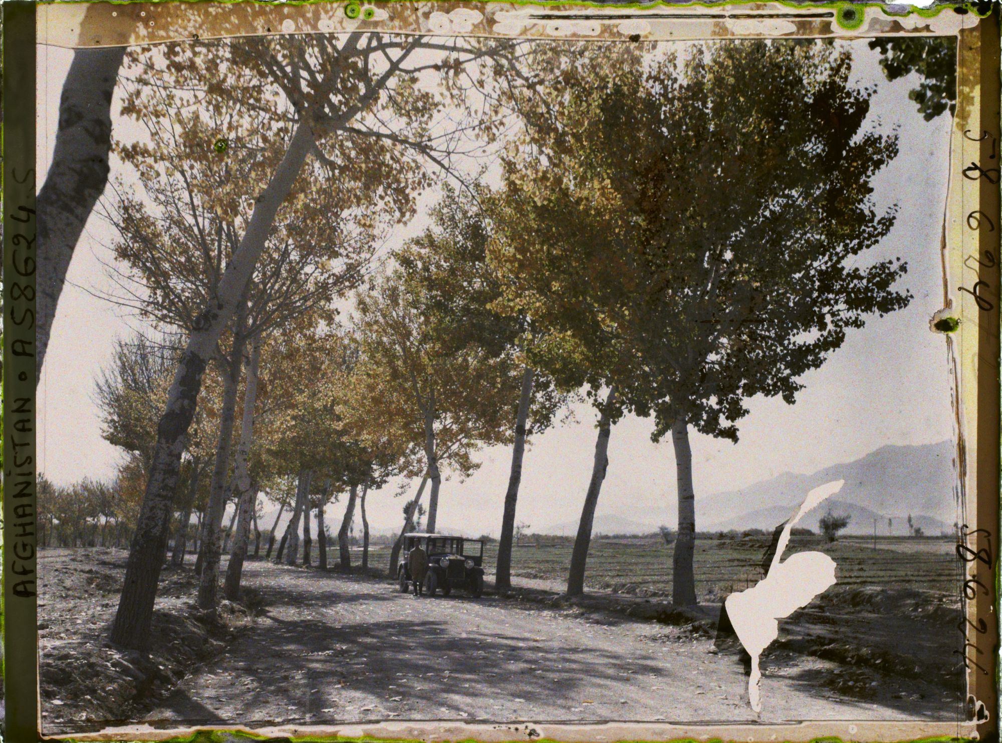 Image représentant IF955_A058624.jpg