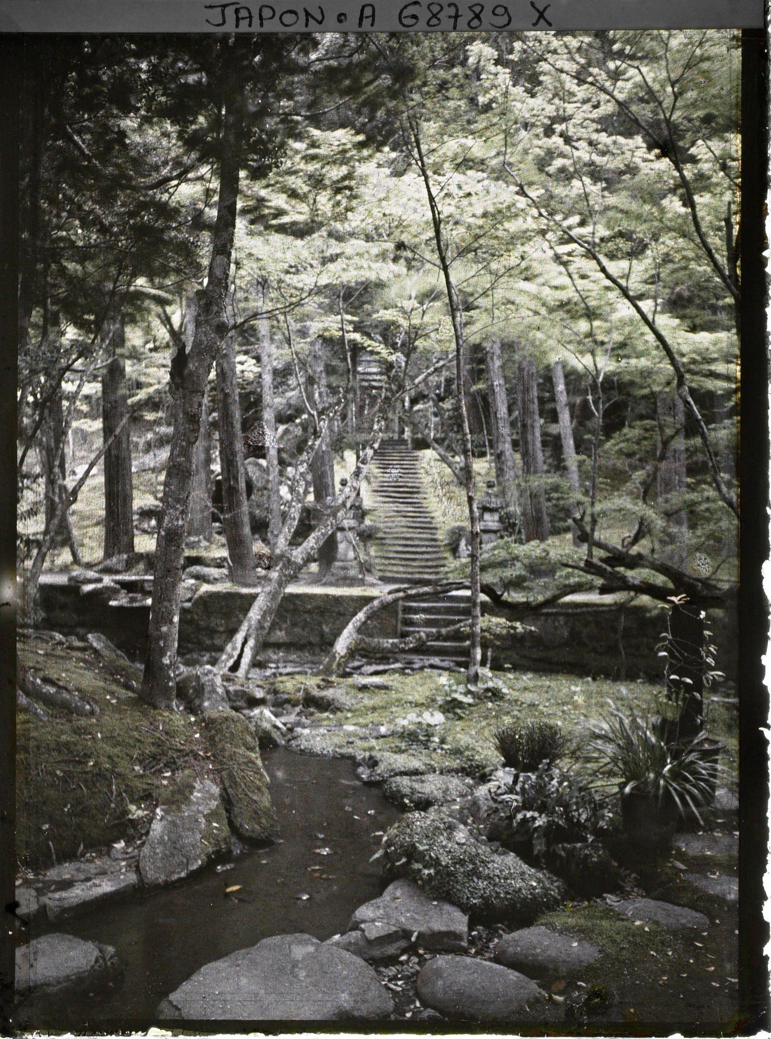 Image représentant Le jardin Iso-teien (Sengan-en)