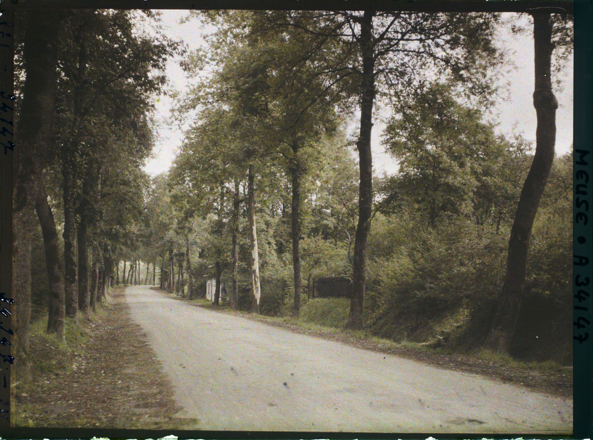 Image représentant France, Bar-le-Duc, La Voie Sacrée à sa sortie de Bar le Duc, vue prise vers Verdun (route de