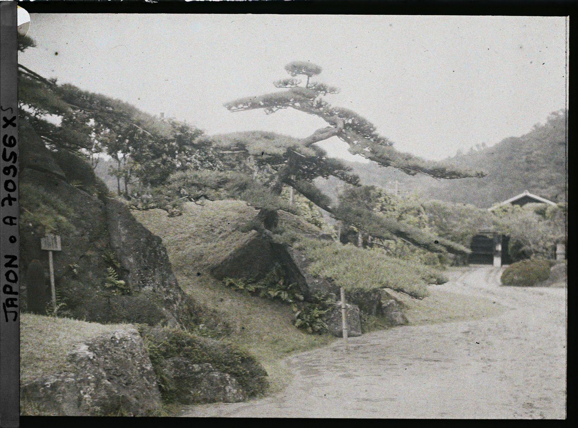 Image représentant Jardin Sengan-en