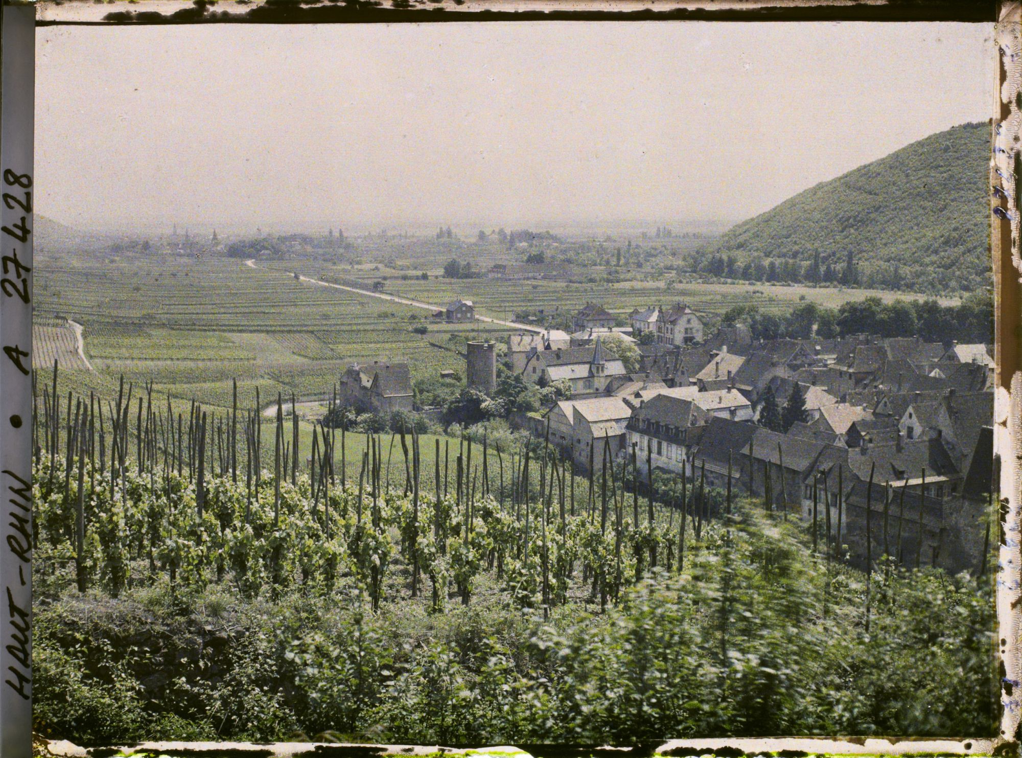 Image représentant France, Kaysersberg, Les Dernières maisons de la ville et la plaine ; au fond, le village de Kienzheim