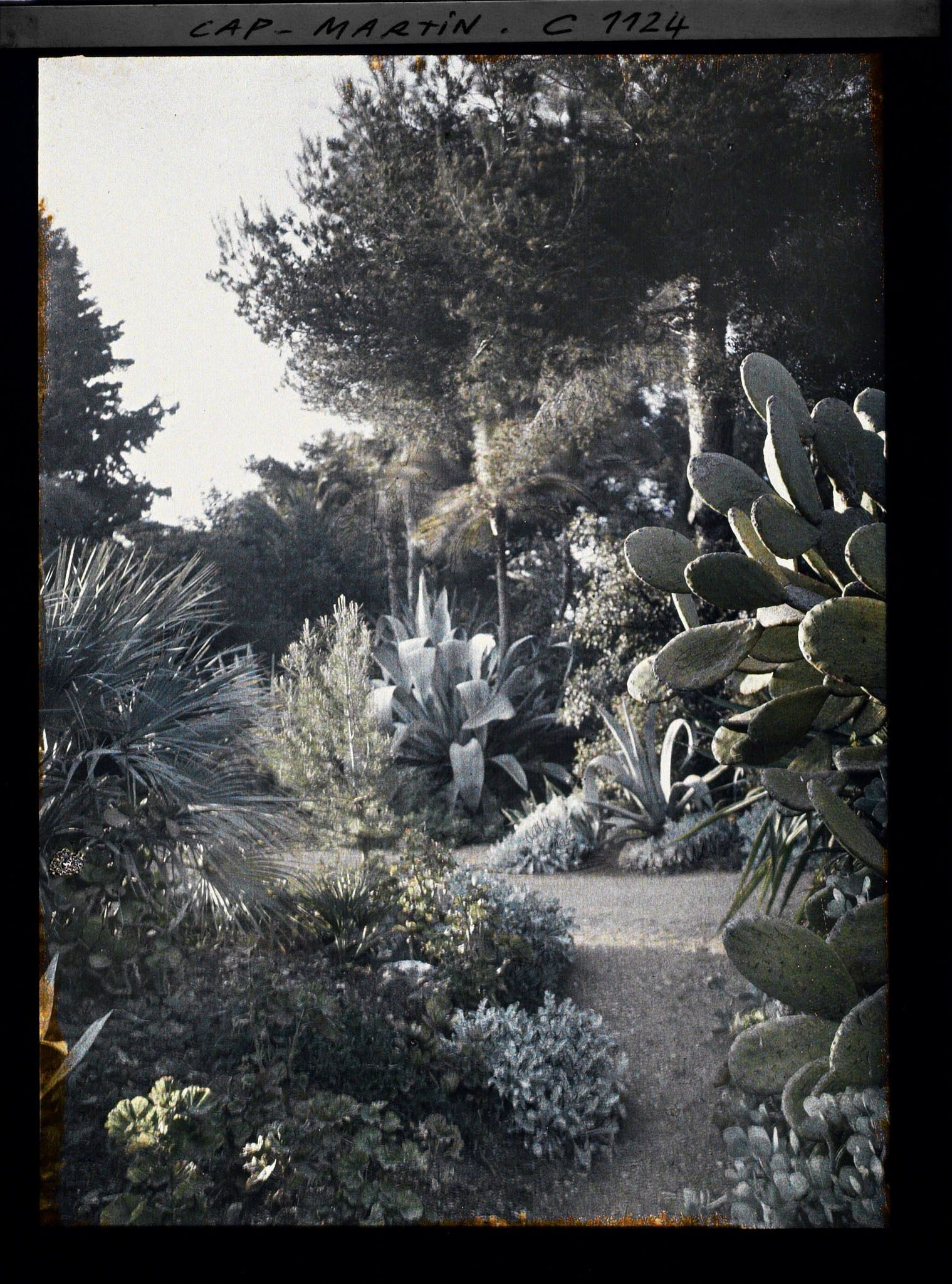 Image représentant le Jardin