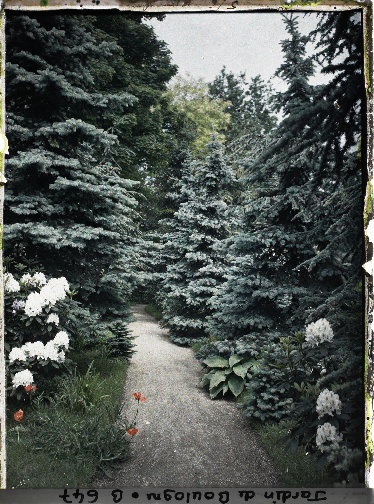 Image représentant jardins