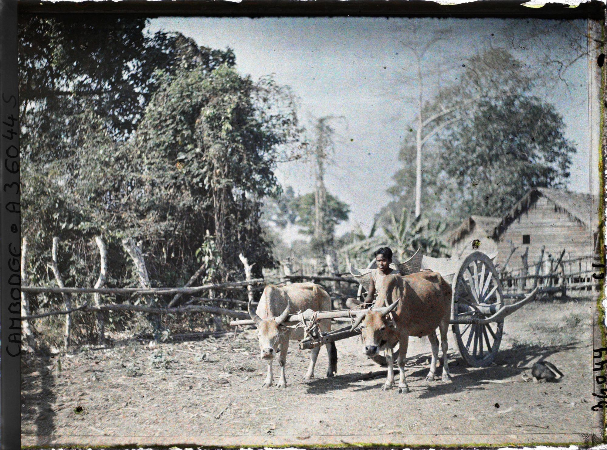 Image représentant Unn jeune garçon conduisant un attelage, dans un village