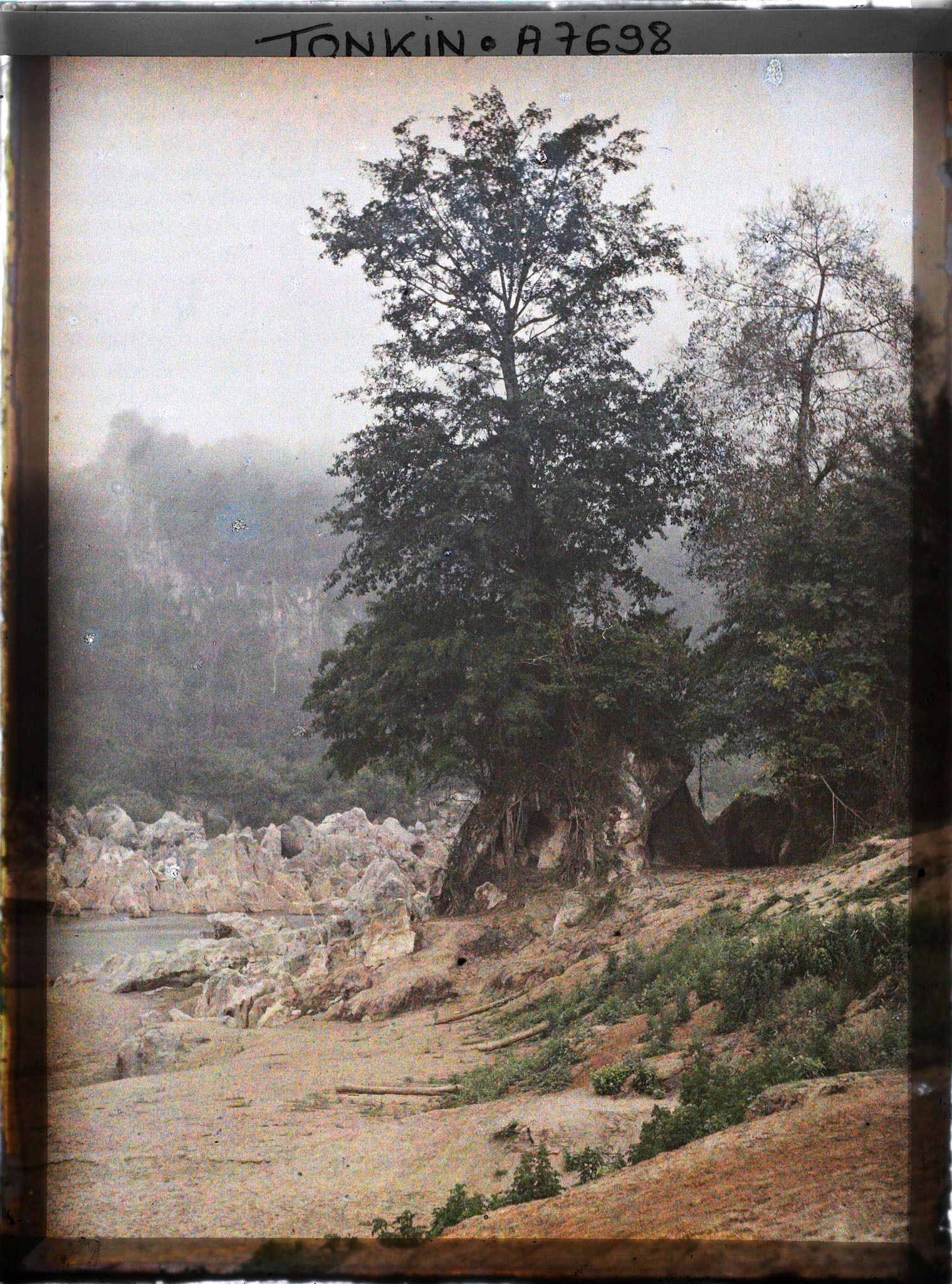 Image représentant Les bords de la rivière Noire, juste en aval du barrage de rochers