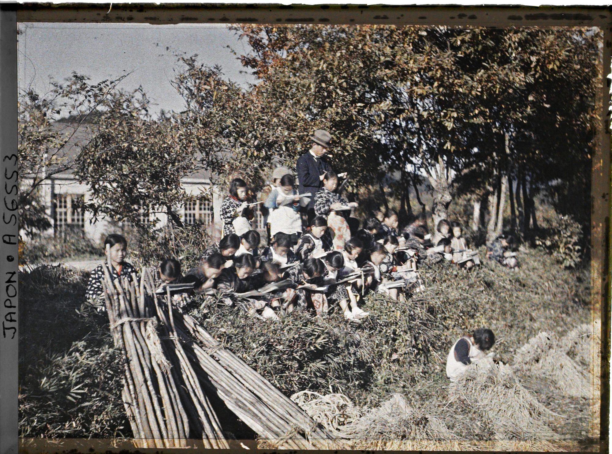 Image représentant Ecolières à l'étude du dessin d'après nature