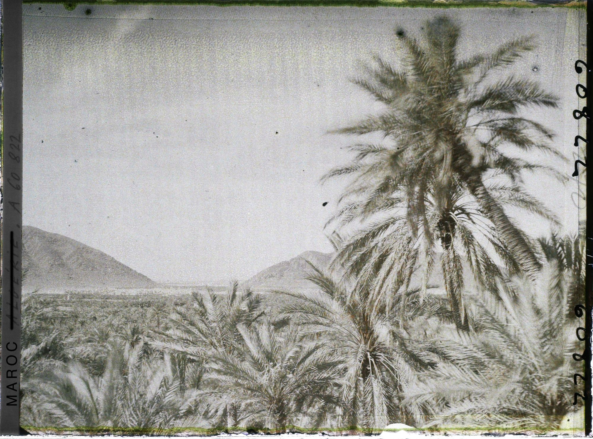 Image représentant Vue de l'oasis et du col de Zenaga