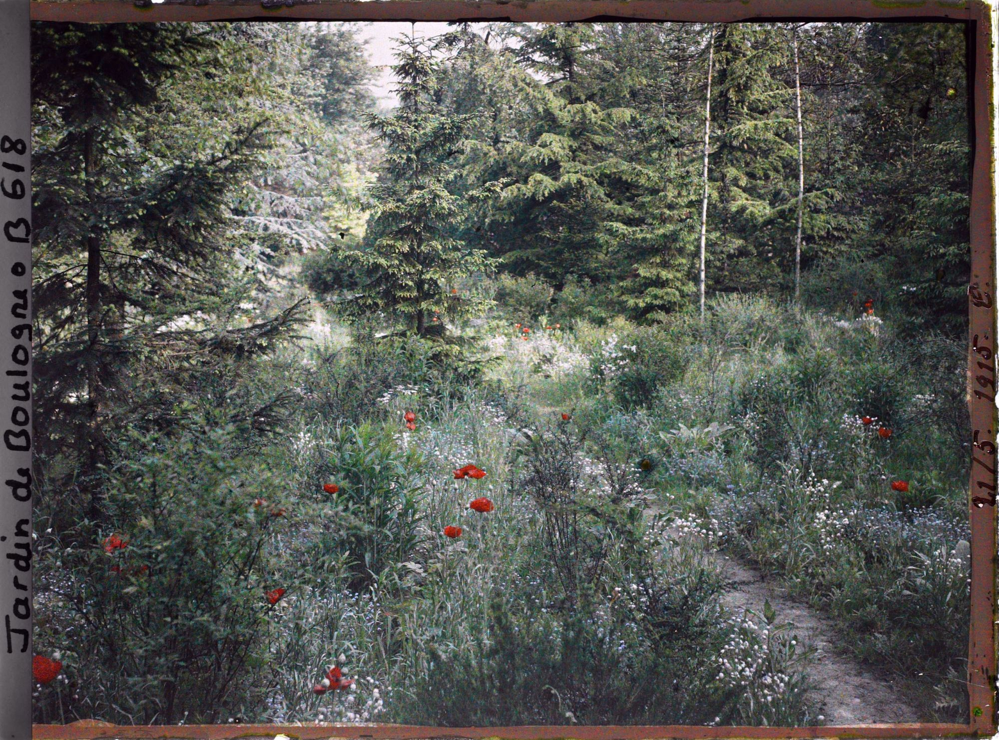 Image représentant IF7970_B000618.jpg