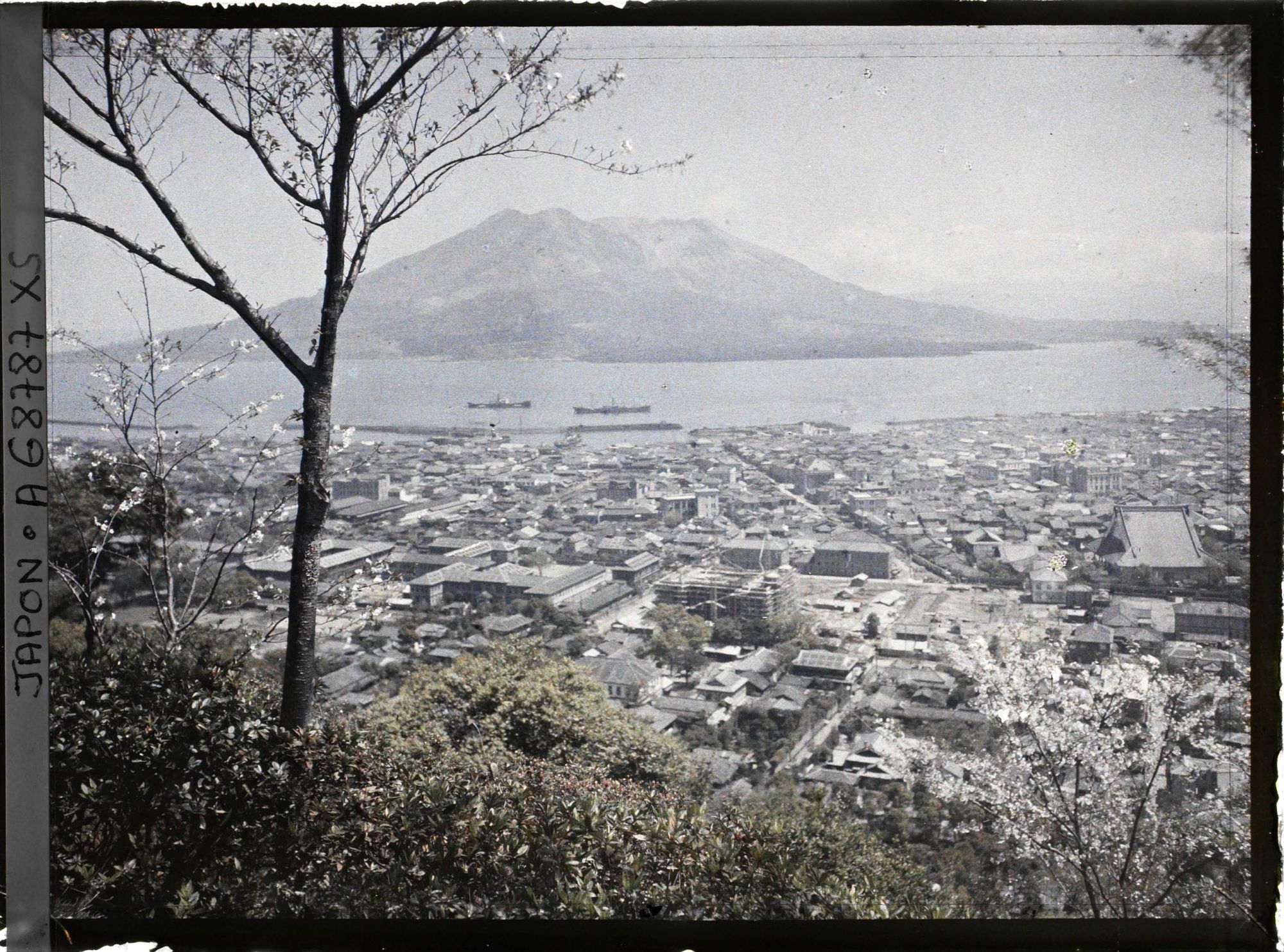 Image représentant Panorama sur la ville et sur le volcan Sakurajima