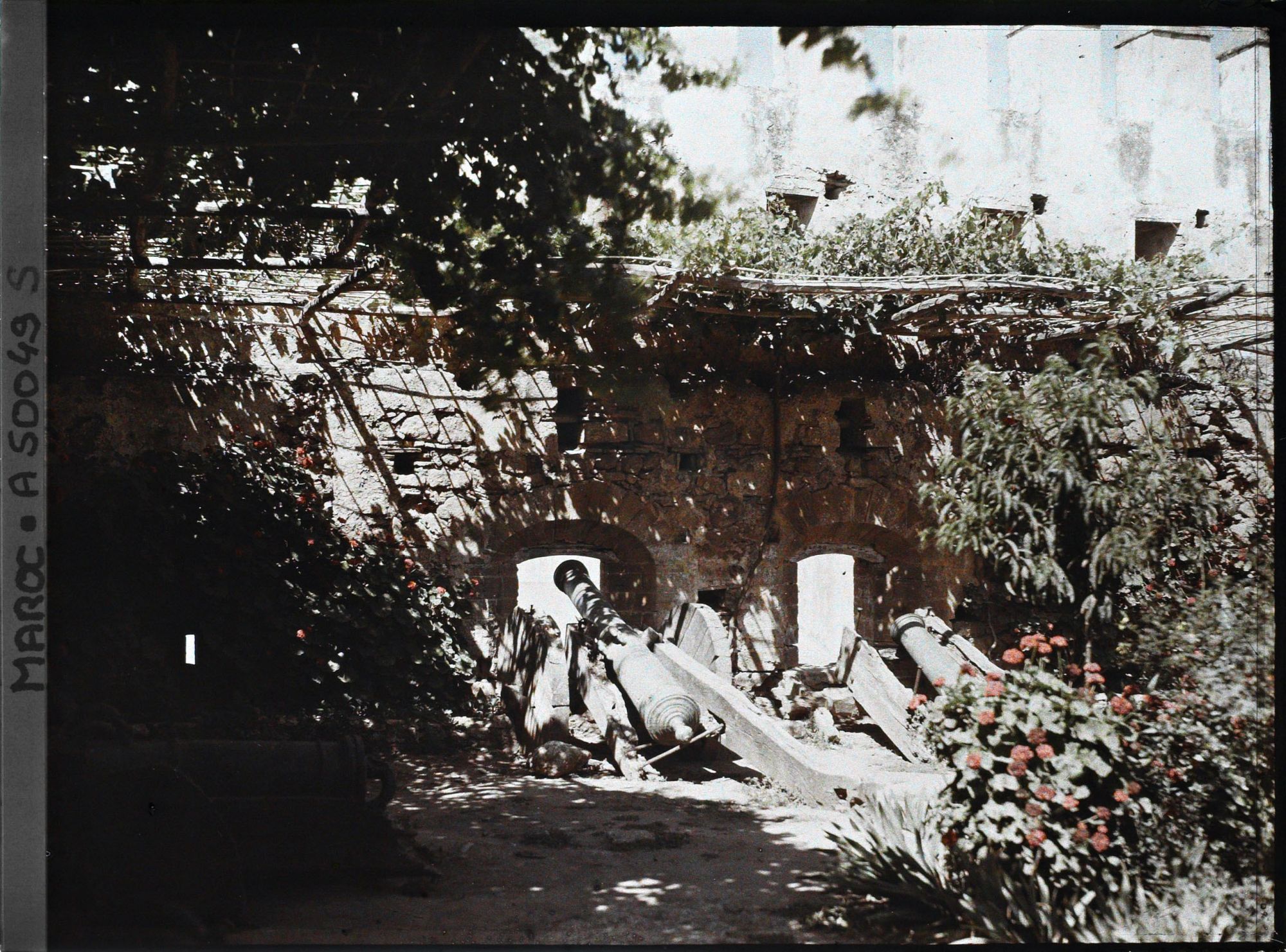 Image représentant Canons espagnols sur un bastion de la casbah des Oudaïa