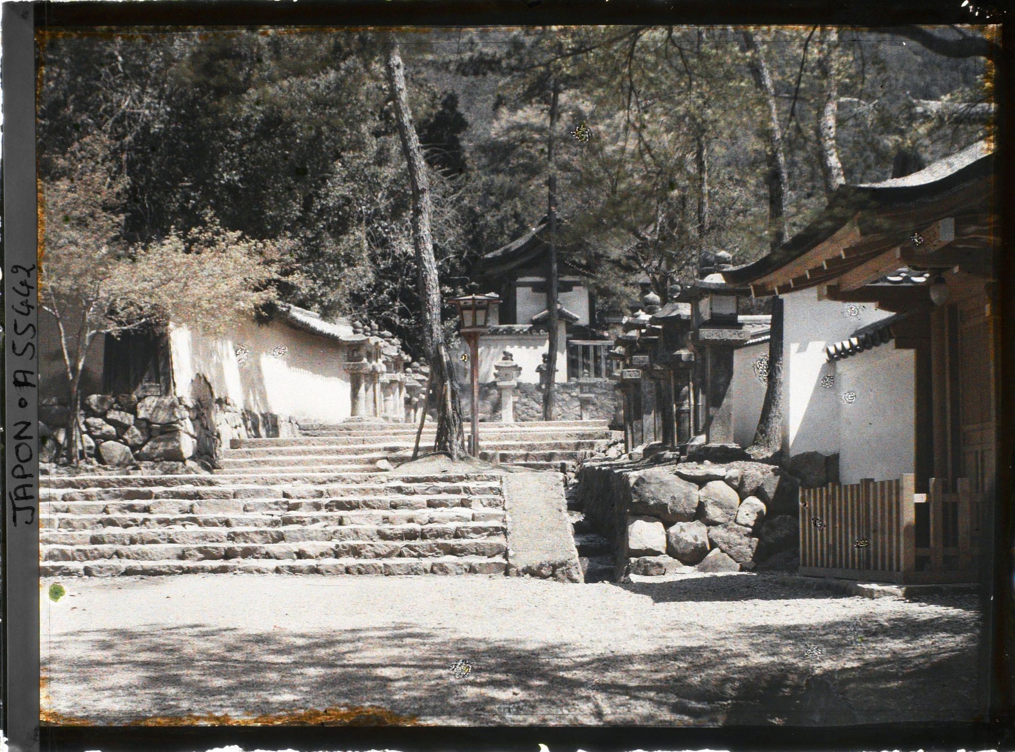 Image représentant Sanctuaire Kasuga-Jinja (ou Kasuga-Taisha) : l'allée des lanternes en approche de la Naishimon