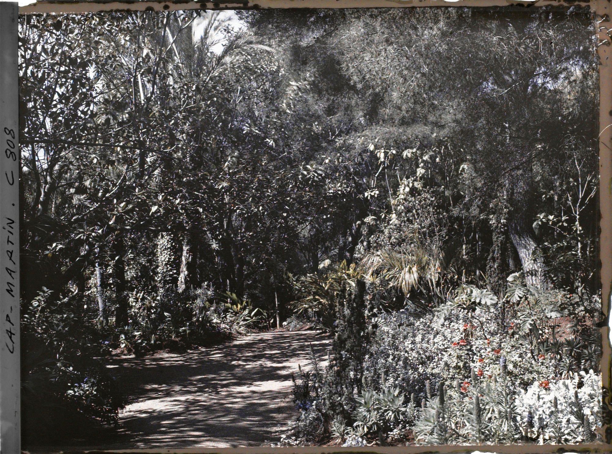 Image représentant Une allée dans le jardin
