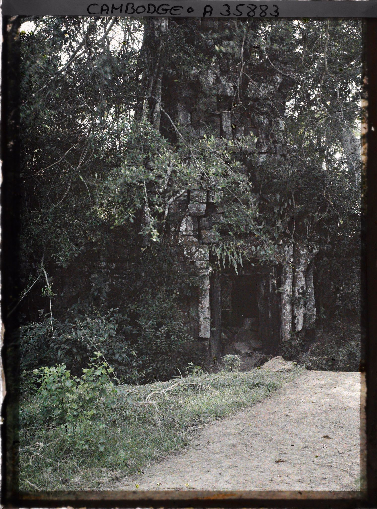 Image représentant Une porte envahie par la végétation