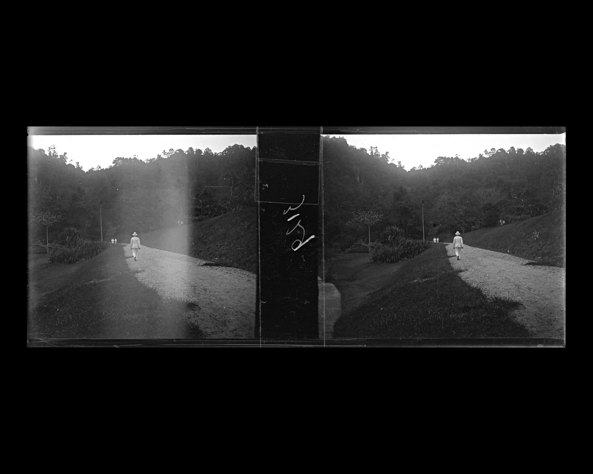 Image représentant Le jardin botanique