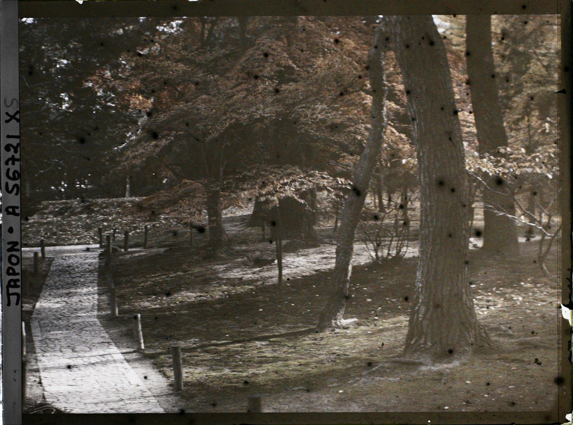 Image représentant Jardin Kôrakuen