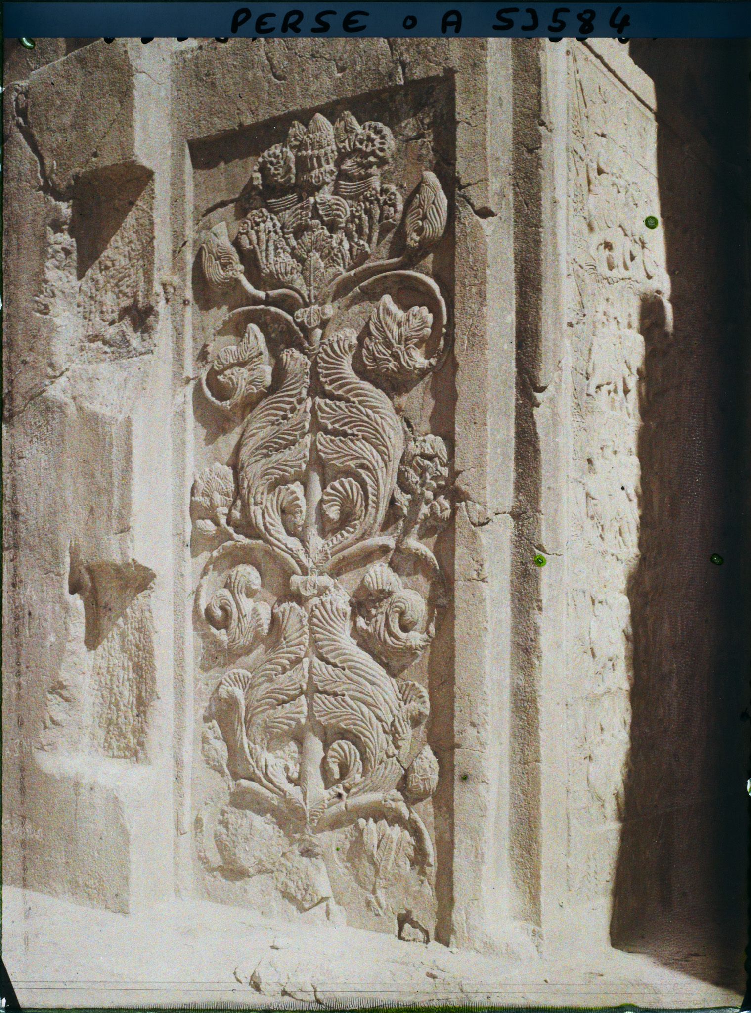 Image représentant Pilastre sculpté de la grande grotte, détail d'un rinceau de fleurs et de feuilles d'acanthe