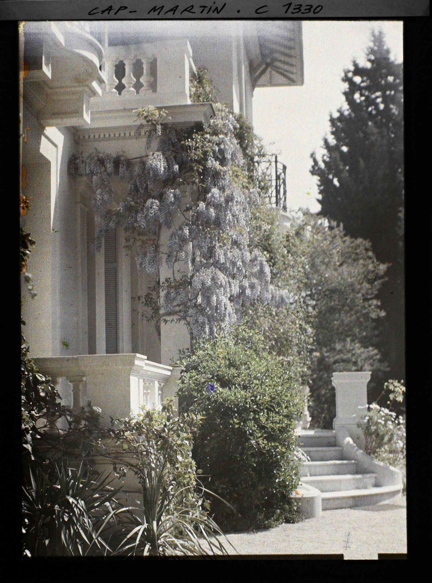 Image représentant Villa Miramar. Le perron avec la glycine