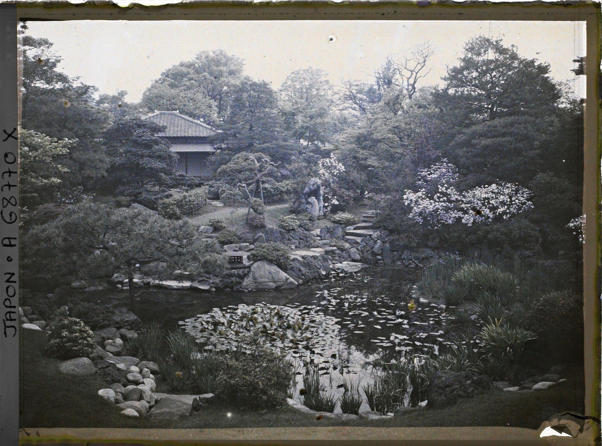 Image représentant Jardin d'une résidence