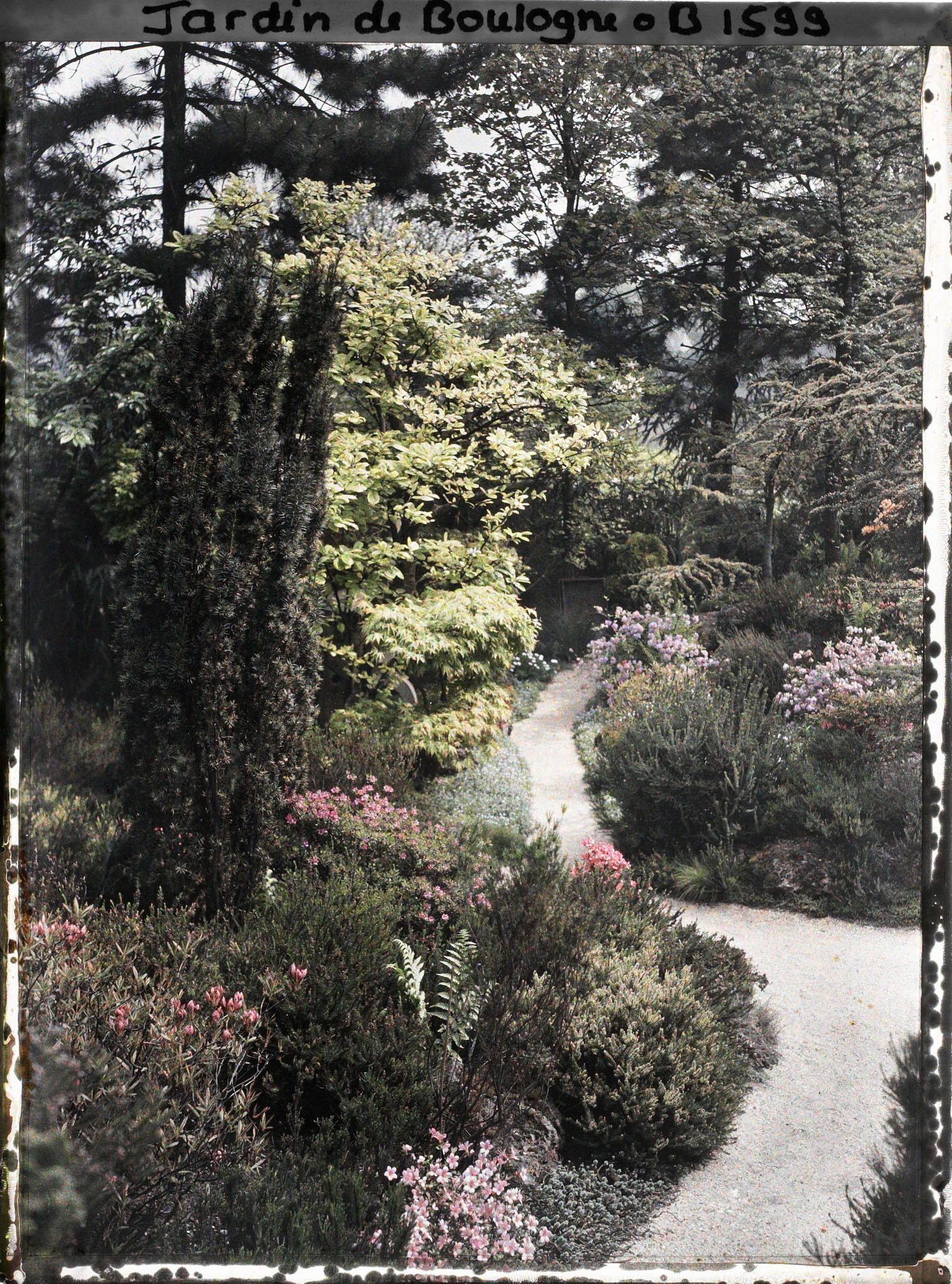 Image représentant Allée du " sanctuaire japonais " longeant le verger-roseraie, bordée d'une rocaille fleurie