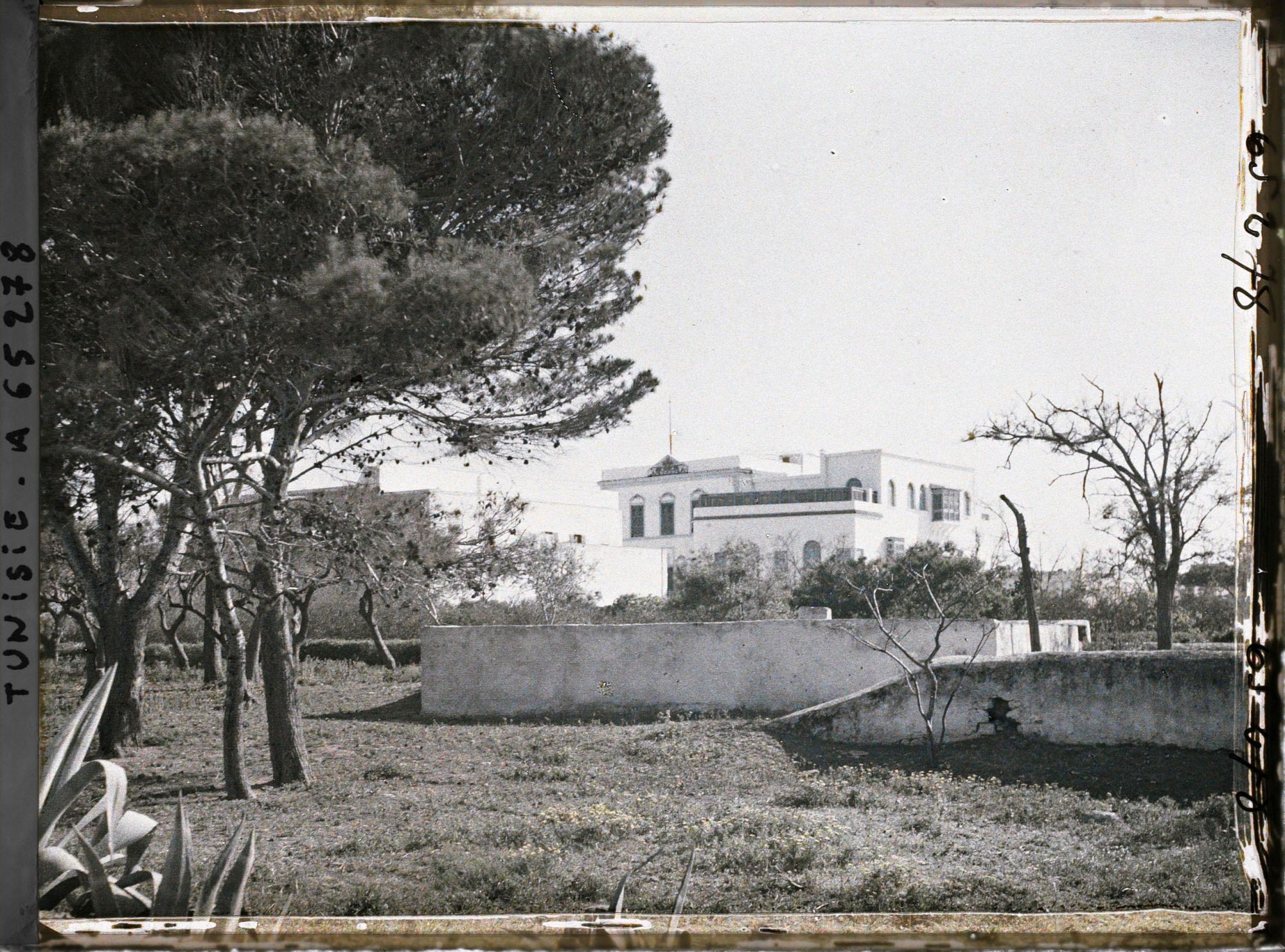Image représentant Les jardins et le palais du bey