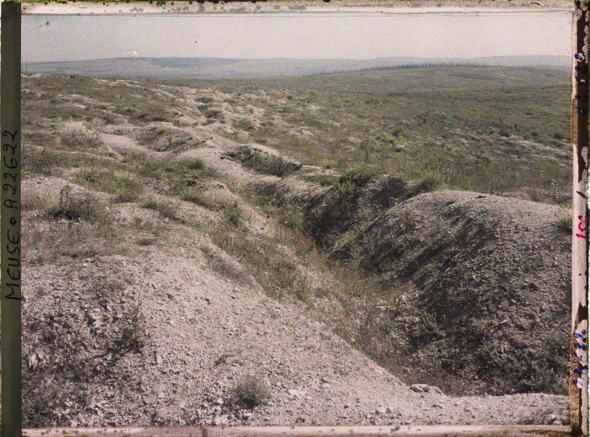 Image représentant France, Mort-Homme, Aspect du Terrain à la Côte 295 ( Mort-Homme)