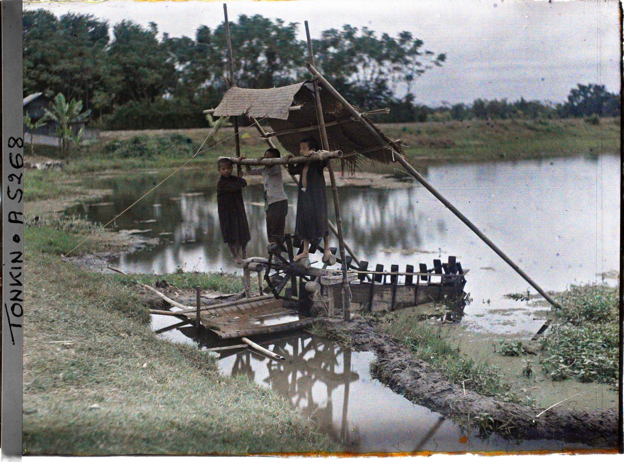 Image représentant Des enfants utilisant une machine à pied, système élévatoire d'eau pour l'irrigation du riz