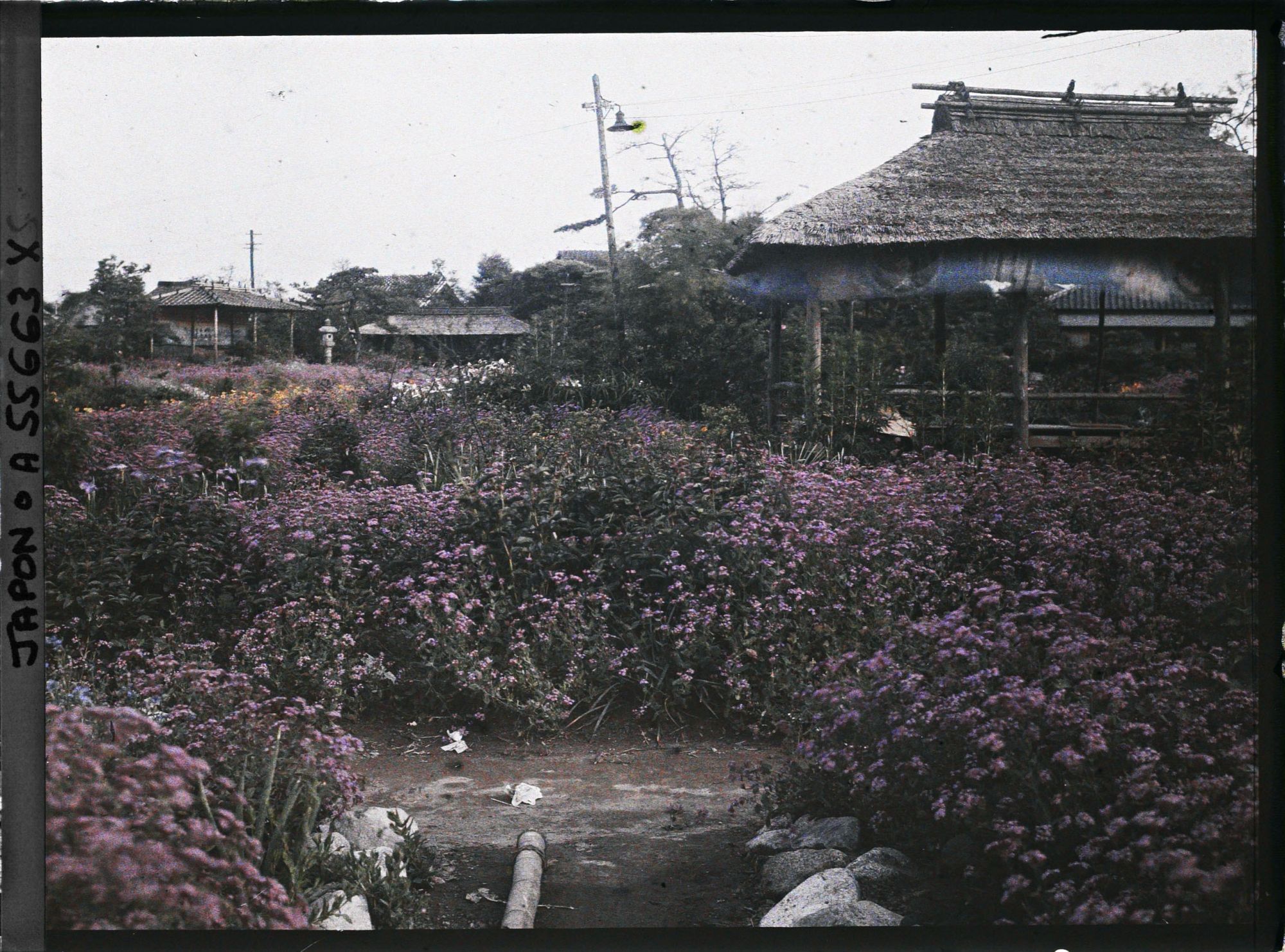Image représentant Parc Horikiri-shobuen