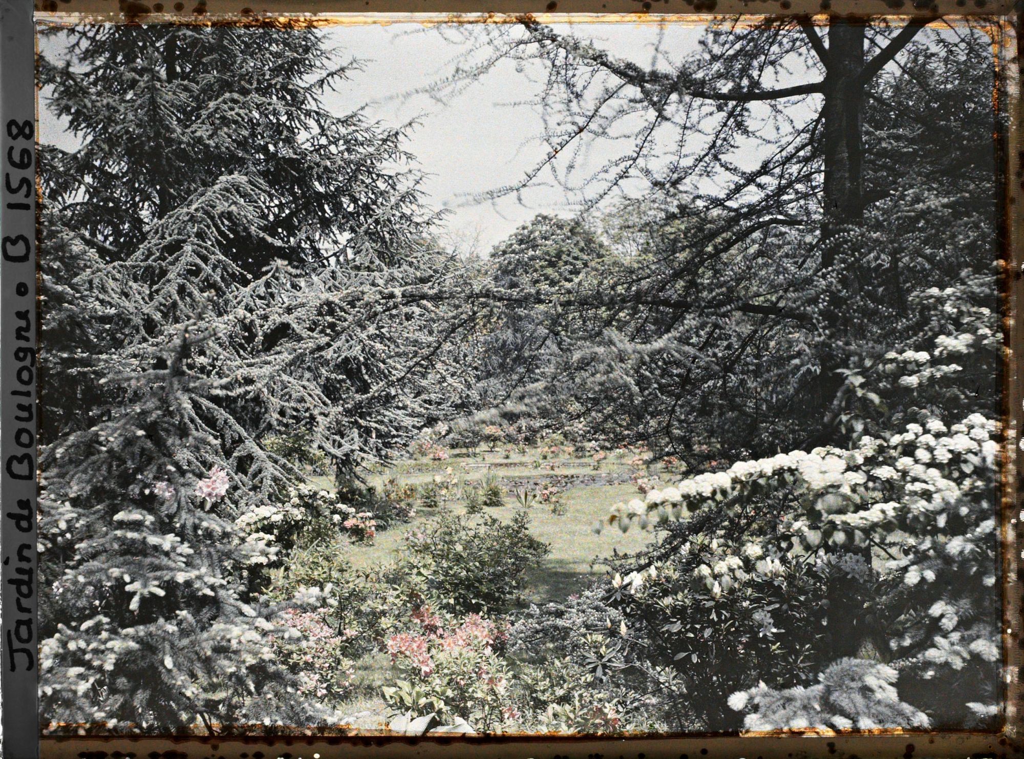 Image représentant Fenêtre de branchages et d'arbustes en fleurs, ouvrant vers le nord, sur la partie est du marais