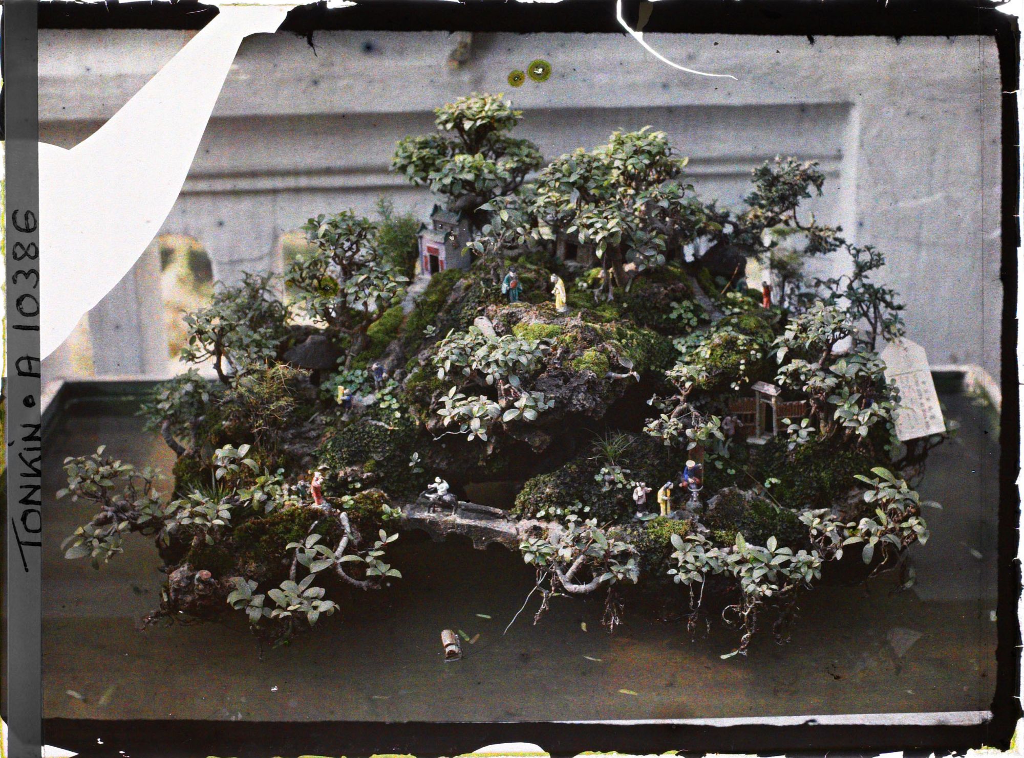 Image représentant Un jardin miniature en rocaille (ou " paradis " bouddhique ") faisant partie d'une exposition florale