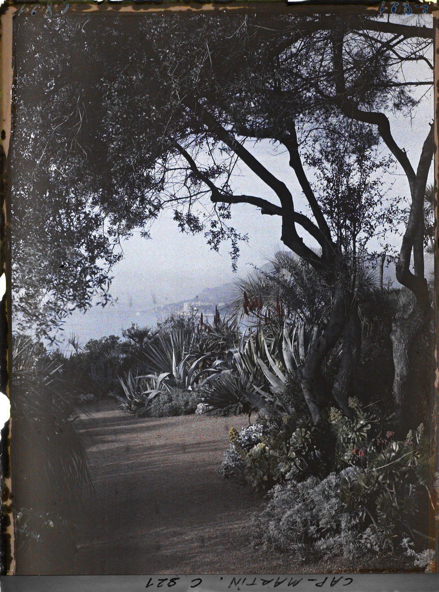 Image représentant Une allée du jardin avec Monaco à l'arrière-plan