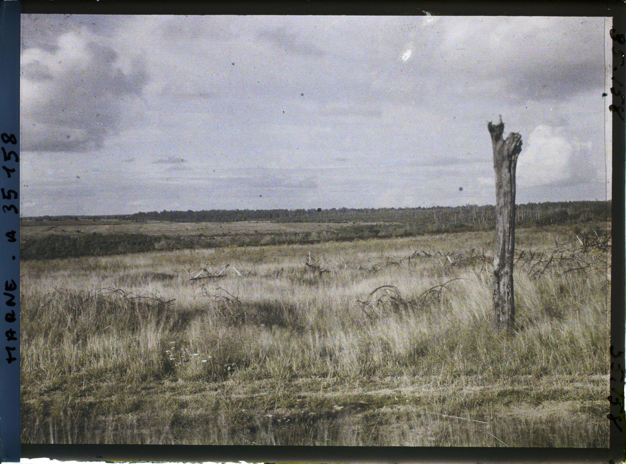 Image représentant France, Vienne le Château , Terrain de Combat compris entre Servon et Binarville, en bas, ruisseau de la Vallée Montréal, au fond, Binarville ; vue prise de la route de Servon