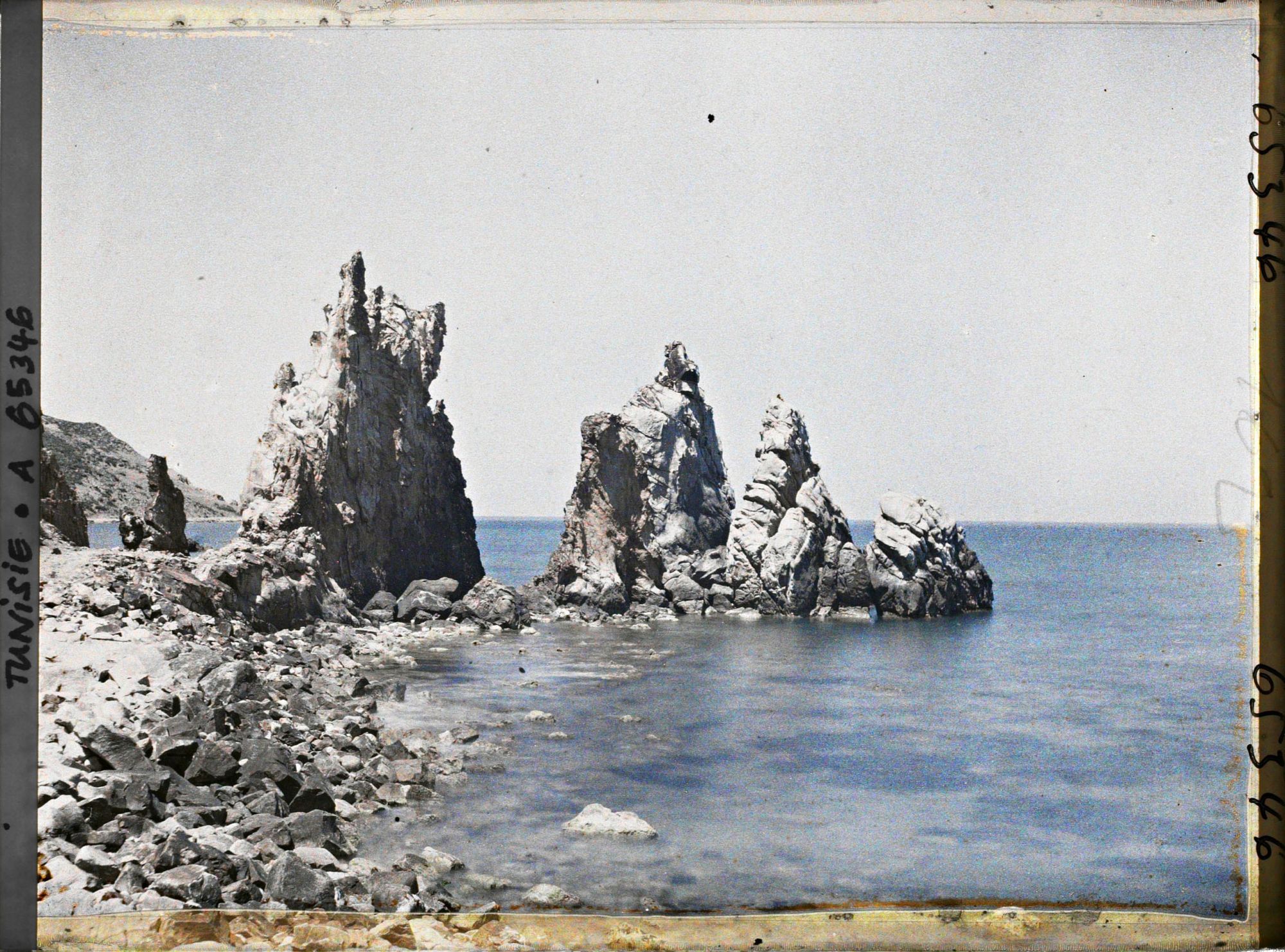 Image représentant Les aiguilles sur le rivage