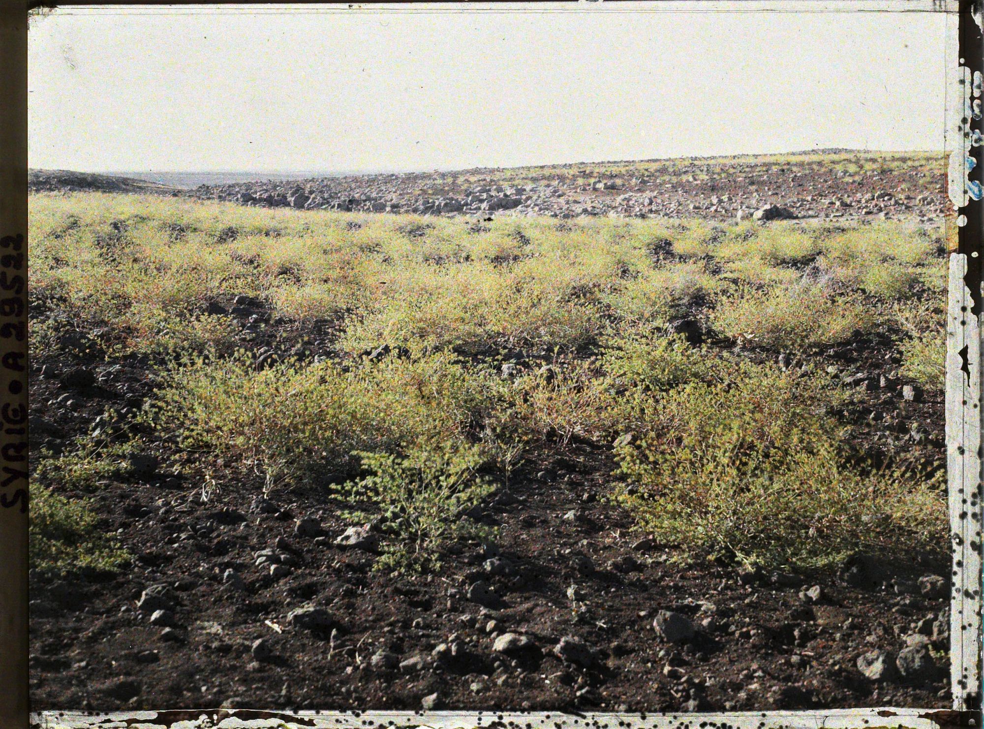 Image représentant Dans le Djebel Druze