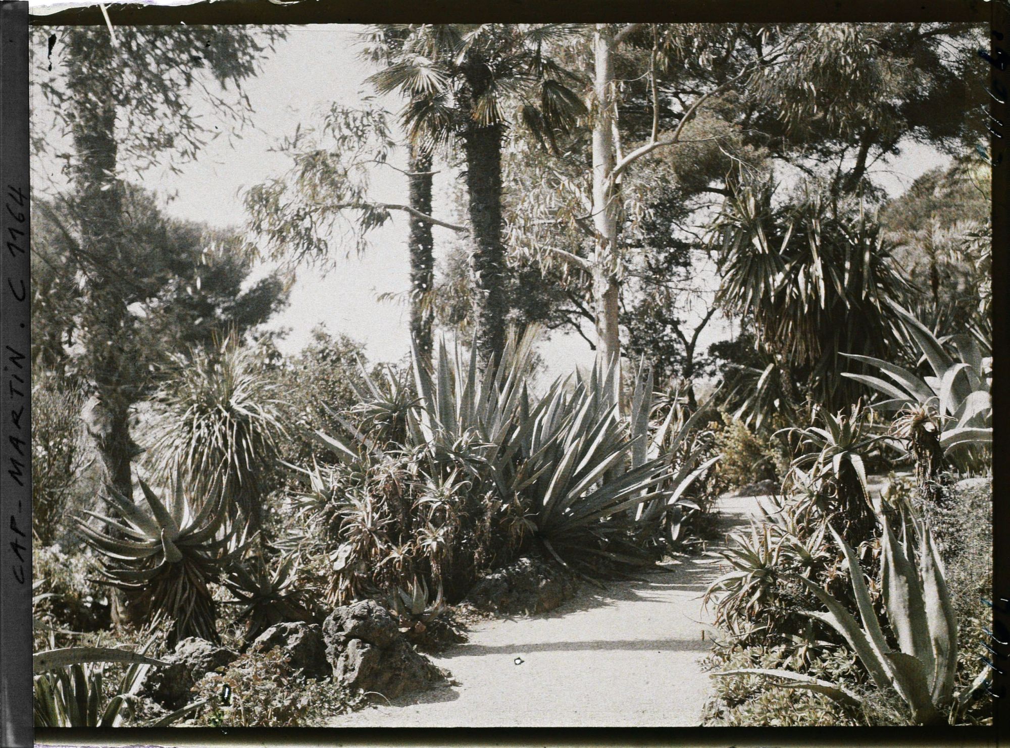 Image représentant le jardin