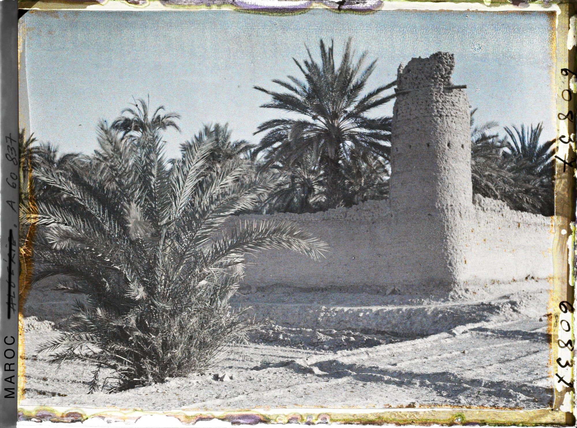 Image représentant Jardins et tour de garde
