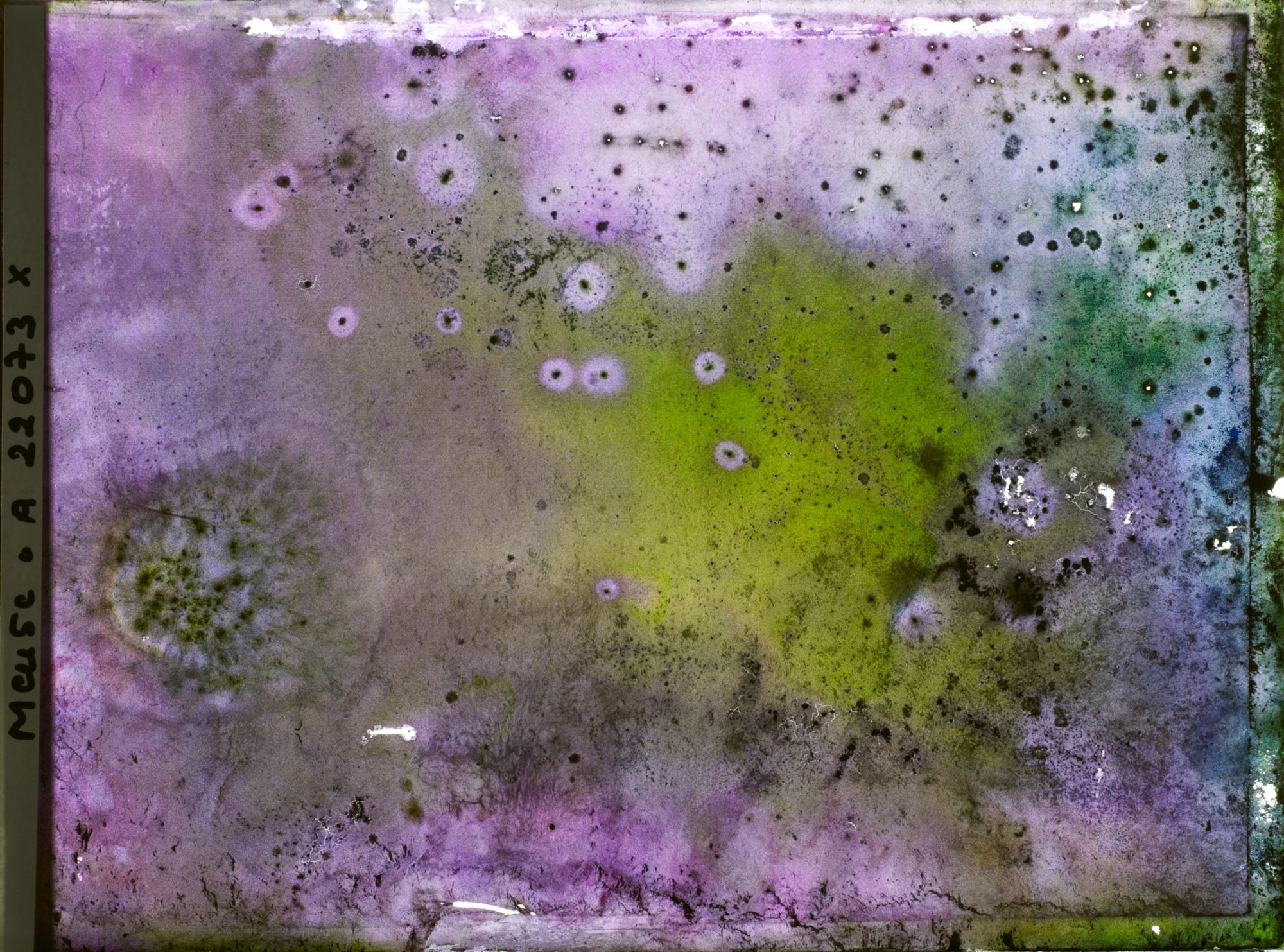 Image représentant Image illisible, plaque endommagée par l'eau (altérations d'époque)