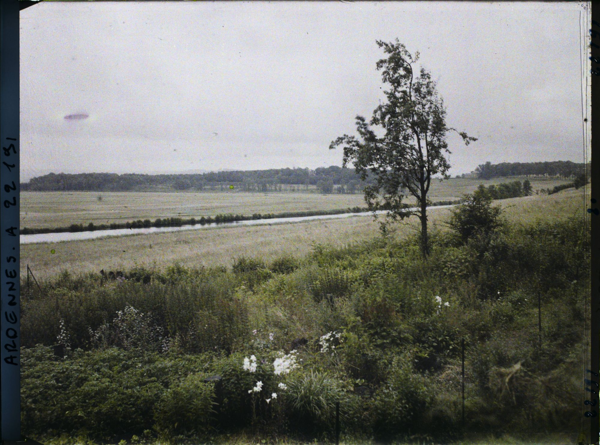 Image représentant Vue de la Vallée de la Meuse vers le bois de Bellevue