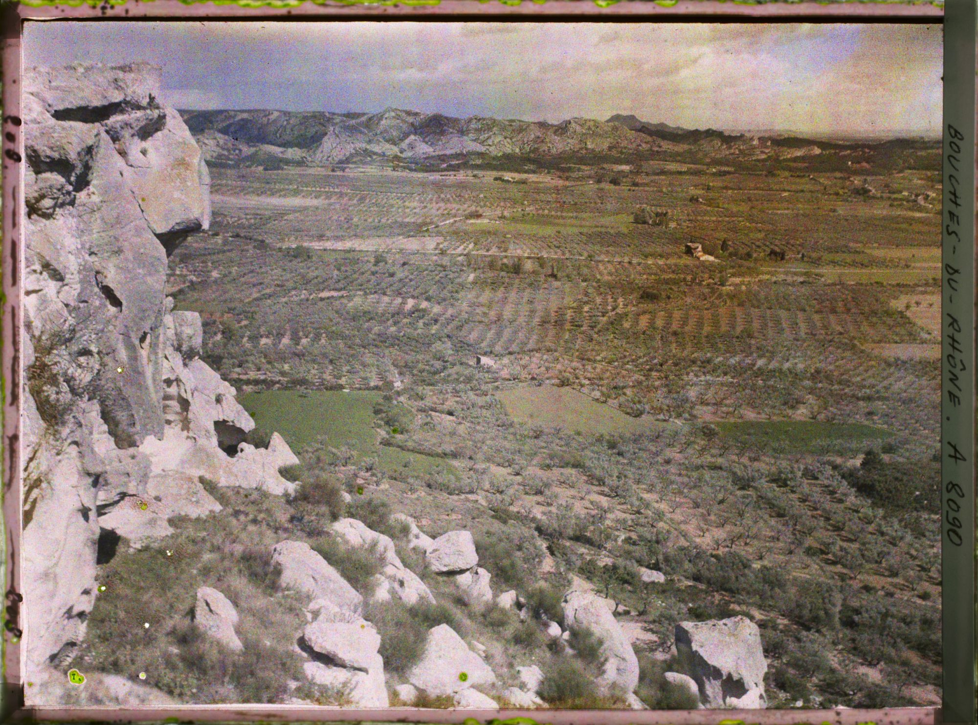 Image représentant Vue sur la plaine et les cultures d'oliviers