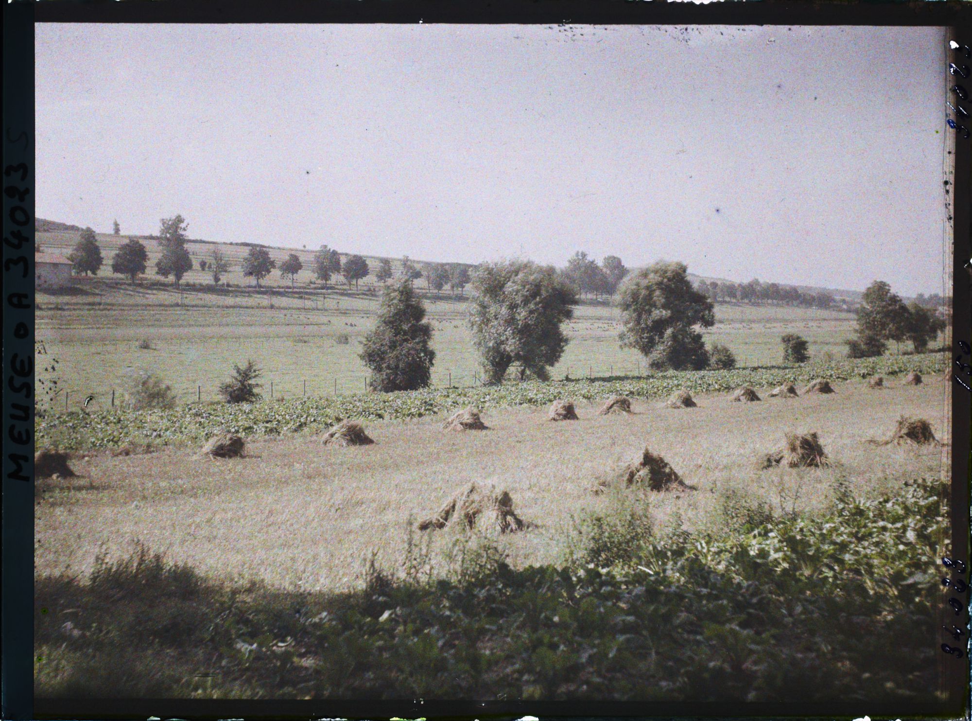 Image représentant France, Glorieux, Vue prise de Glorieux vers le Sud, la rangée d'arbres désigne la route de Paris (voie sacrée)