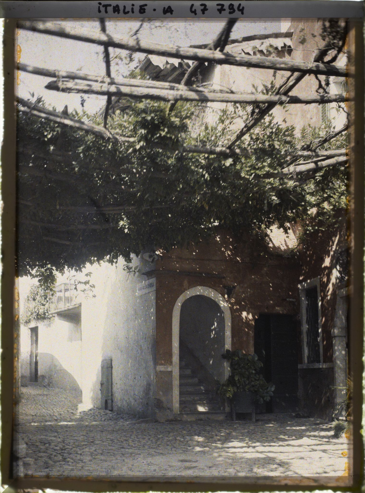 Image représentant Rue couverte de vignes sur l'île des Pêcheurs (isola dei Pescatori)